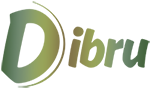 Dibru Enterprises Overseas