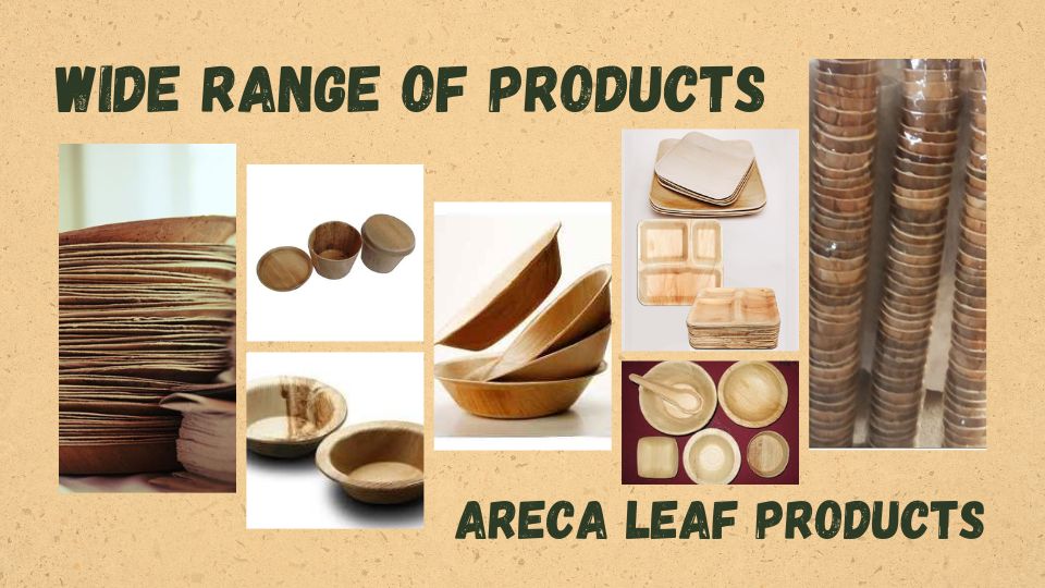 Areca Leaf Products